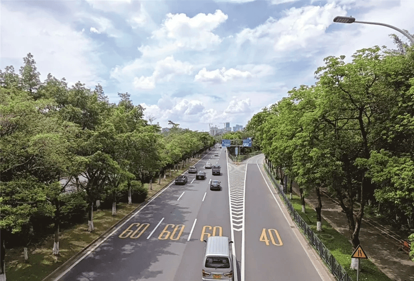 生活落地番禺房车旅行仪式感拉满AG真人百家家乐app综艺同款(图2)